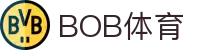 BOB官方网站 - 最专业体育游戏娱乐平台